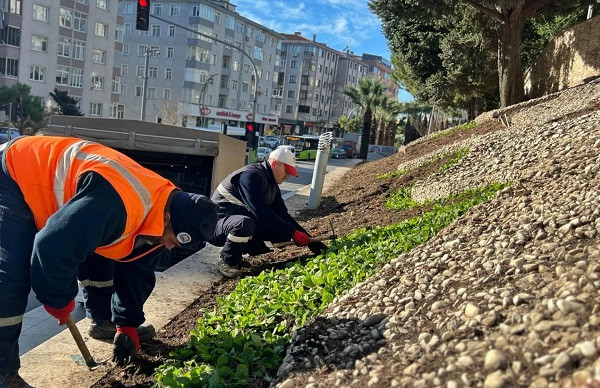 GEBZE'DE ÇİÇEK EKİM ÇALIŞMALARI